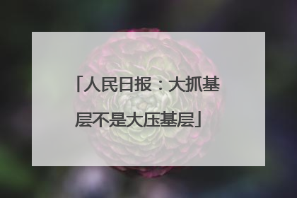 人民日报：大抓基层不是大压基层
