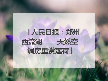 人民日报：郑州西流湖——天然空调房里赏莲荷