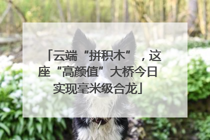 云端“拼积木”，这座“高颜值”大桥今日实现毫米级合龙