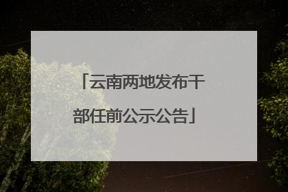 云南两地发布干部任前公示公告