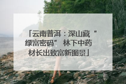 云南普洱：深山藏“绿富密码” 林下中药材长出致富新图景
