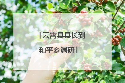 云霄县县长到和平乡调研