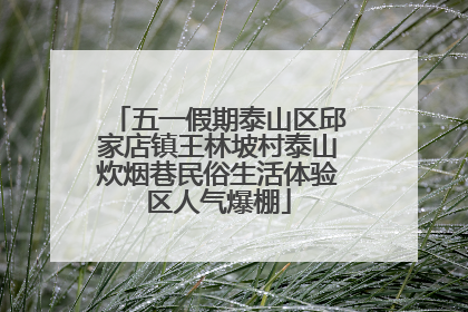 五一假期泰山区邱家店镇王林坡村泰山炊烟巷民俗生活体验区人气爆棚