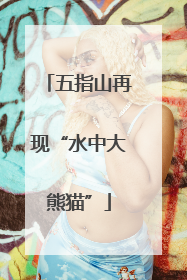 五指山再现“水中大熊猫”