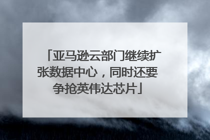亚马逊云部门继续扩张数据中心，同时还要争抢英伟达芯片
