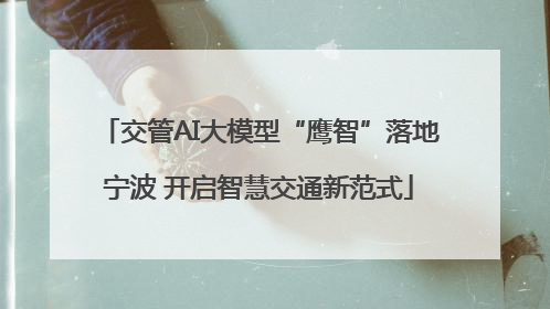 交管AI大模型“鹰智”落地宁波 开启智慧交通新范式