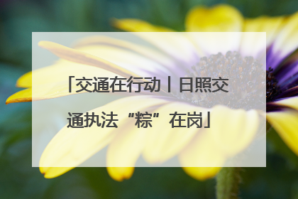 交通在行动丨日照交通执法“粽”在岗