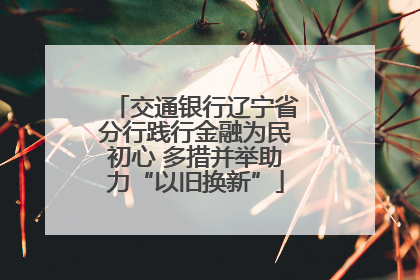 交通银行辽宁省分行践行金融为民初心 多措并举助力“以旧换新”