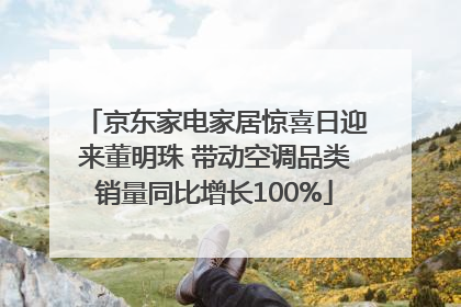 京东家电家居惊喜日迎来董明珠 带动空调品类销量同比增长100%