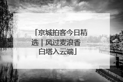 京城拍客今日精选｜风过麦浪香 白塔入云端