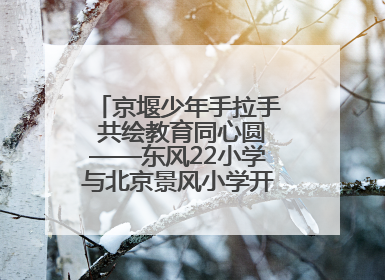 京堰少年手拉手 共绘教育同心圆——东风22小学与北京景风小学开展对口协作活动
