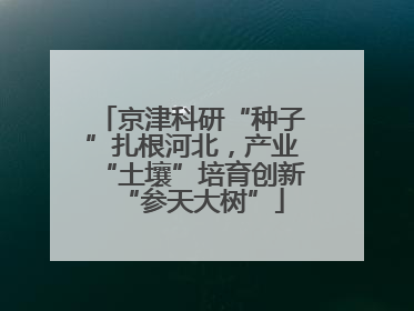 京津科研“种子”扎根河北，产业“土壤”培育创新“参天大树”