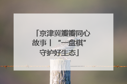 京津冀瓣瓣同心故事丨“一盘棋”守护好生态