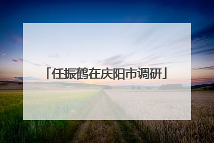 任振鹤在庆阳市调研