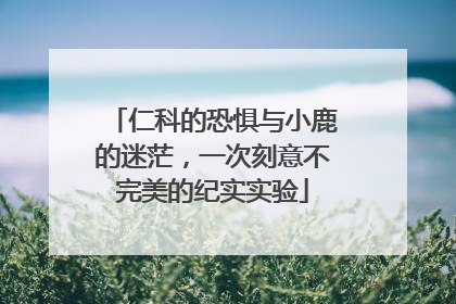 仁科的恐惧与小鹿的迷茫，一次刻意不完美的纪实实验