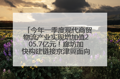今年一季度现代商贸物流产业实现增加值205.7亿元！廊坊加快构建链接京津冀面向全世界的物流通道