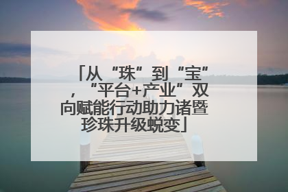 从“珠”到“宝”，“平台+产业”双向赋能行动助力诸暨珍珠升级蜕变