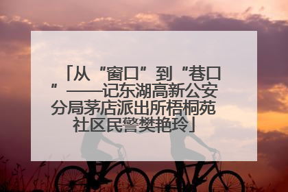 从“窗口”到“巷口”——记东湖高新公安分局茅店派出所梧桐苑社区民警樊艳玲