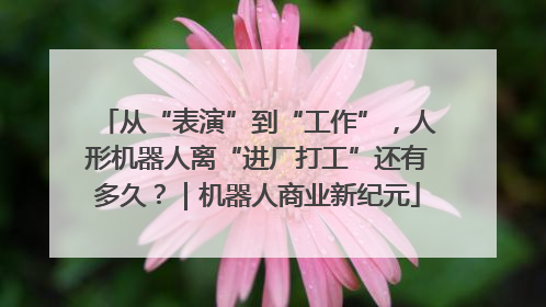 从“表演”到“工作”，人形机器人离“进厂打工”还有多久？｜机器人商业新纪元