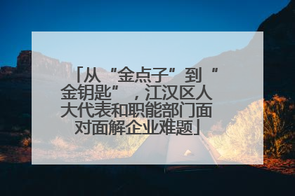 从“金点子”到“金钥匙”，江汉区人大代表和职能部门面对面解企业难题
