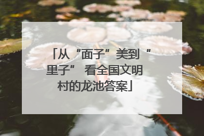 从“面子”美到“里子” 看全国文明村的龙池答案