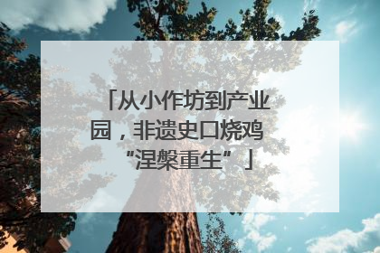 从小作坊到产业园，非遗史口烧鸡“涅槃重生”