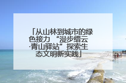 从山林到城市的绿色接力 “漫步缙云·青山驿站”探索生态文明新实践