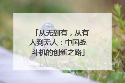 从无到有，从有人到无人：中国战斗机的创新之路