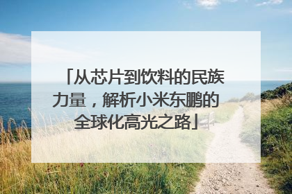 从芯片到饮料的民族力量，解析小米东鹏的全球化高光之路