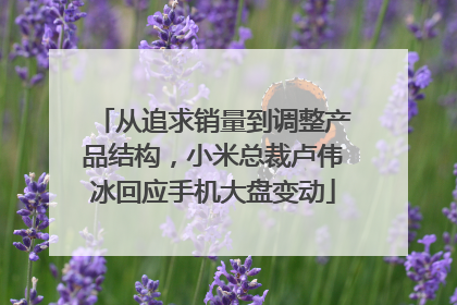 从追求销量到调整产品结构，小米总裁卢伟冰回应手机大盘变动