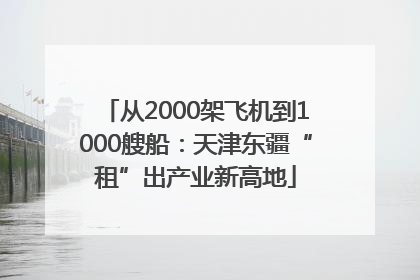 从2000架飞机到1000艘船：天津东疆“租”出产业新高地