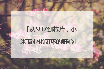从SU7到芯片，小米商业化闭环的野心
