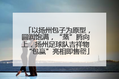 以扬州包子为原型，圆润饱满，“蒸”腾向上，扬州足球队吉祥物“包赢”亮相即售罄