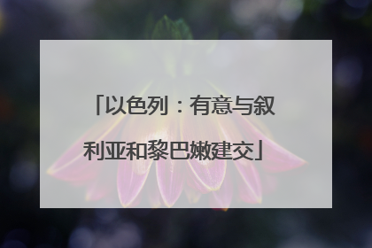 以色列：有意与叙利亚和黎巴嫩建交