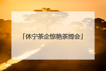 休宁茶企惊艳茶博会