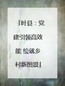 叶县：党建引领高效能 绘就乡村新图景