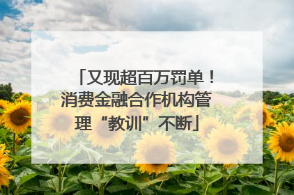 又现超百万罚单！消费金融合作机构管理“教训”不断