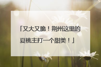 又大又脆！荆州这里的夏桃主打一个甜美！