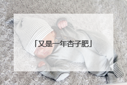 又是一年杏子肥