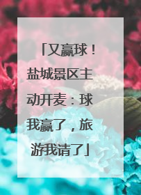 又赢球！盐城景区主动开麦：球我赢了，旅游我请了