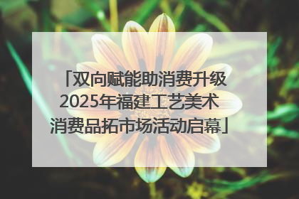 双向赋能助消费升级 2025年福建工艺美术消费品拓市场活动启幕