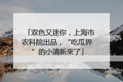 双色又迷你，上海市农科院出品，“吃瓜界”的小清新来了
