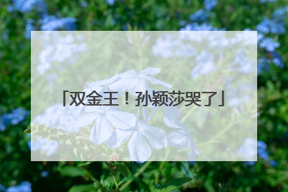 双金王！孙颖莎哭了