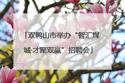 双鸭山市举办“智汇煤城·才聚双赢”招聘会