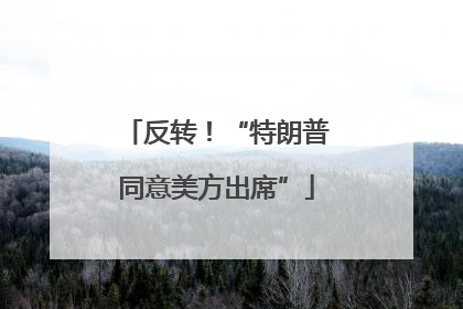 反转！“特朗普同意美方出席”
