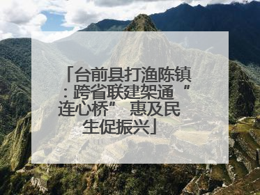 台前县打渔陈镇：跨省联建架通“连心桥” 惠及民生促振兴