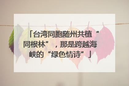 台湾同胞随州共植“同根林”，那是跨越海峡的“绿色情诗”