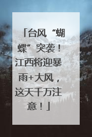 台风“蝴蝶”突袭！江西将迎暴雨+大风，这天千万注意！