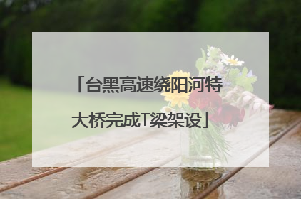 台黑高速绕阳河特大桥完成T梁架设