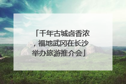 千年古城卤香浓，福地武冈在长沙举办旅游推介会